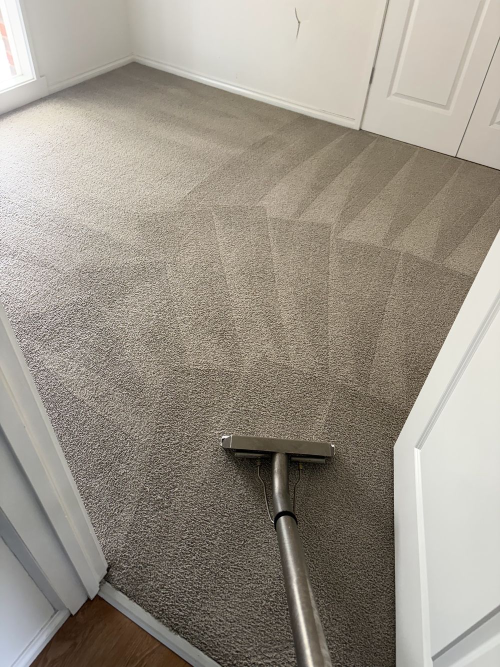 Bedroom carpet after a steam clean, with fresh wand lines