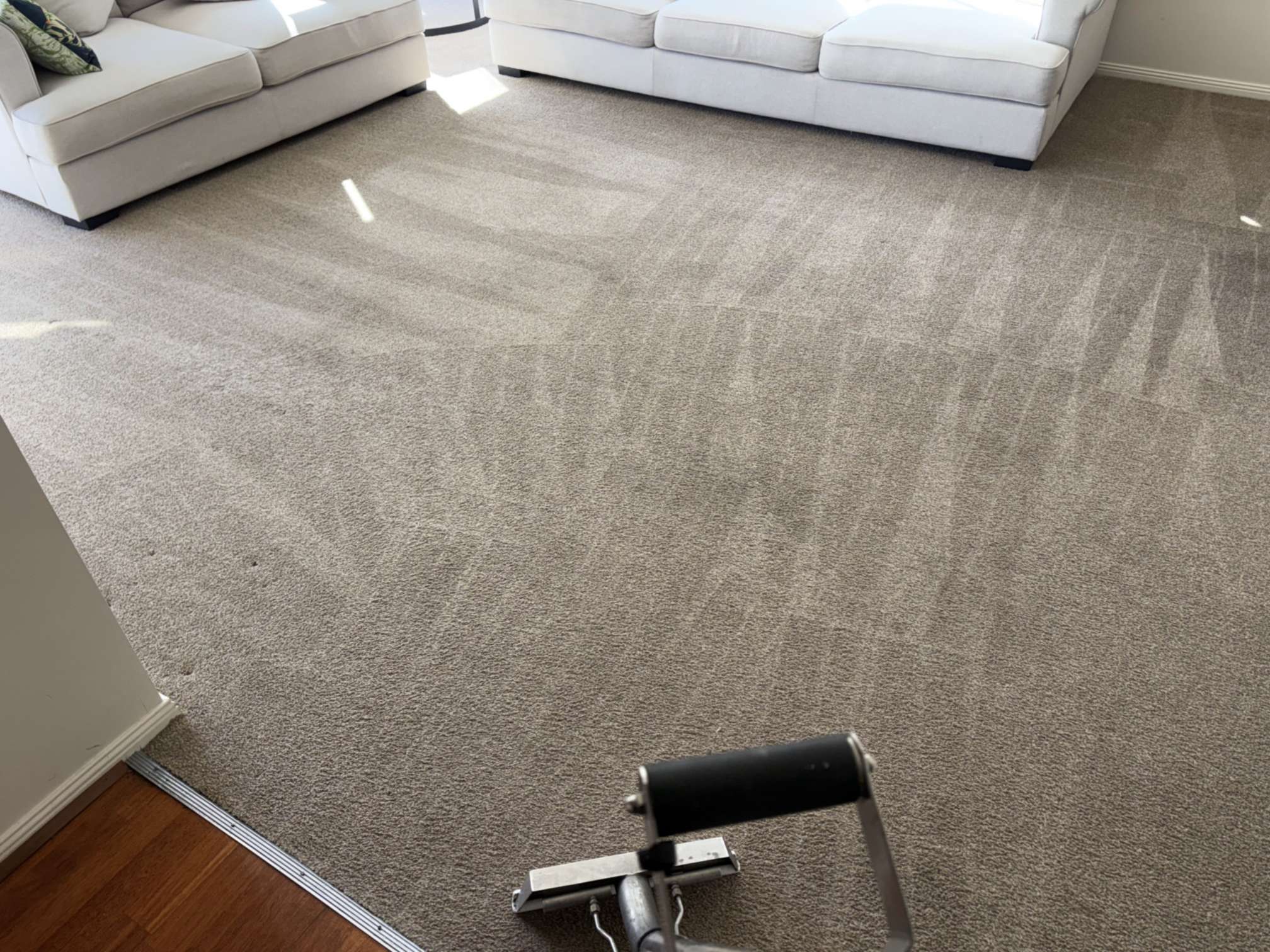 Lounge room carpet just steam cleaned, with fresh wand lines and the cleaning wand in the foreground