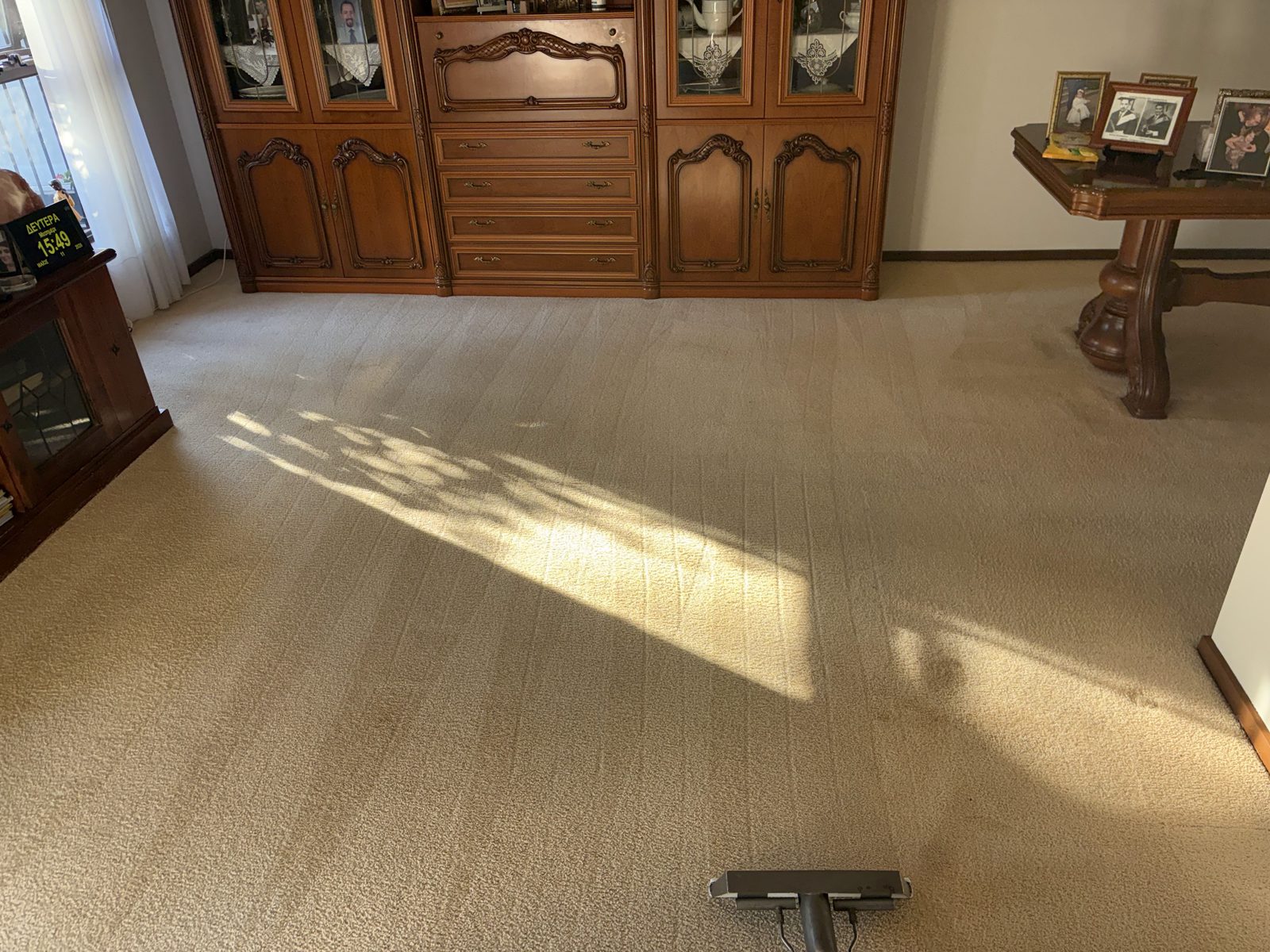 Living room carpet after a steam clean, with wand lines in the afternoon sun